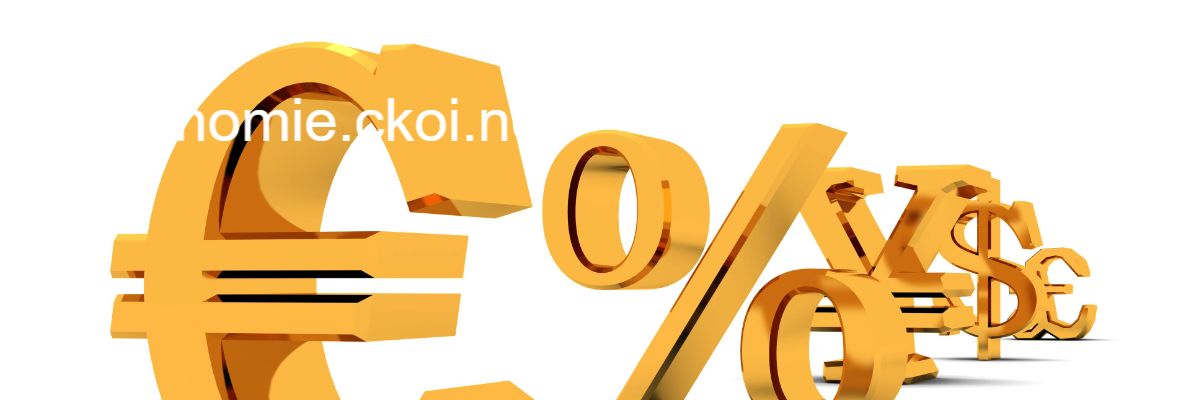 economie.ckoi.net